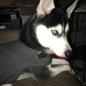 Meet your Posher, Adriana